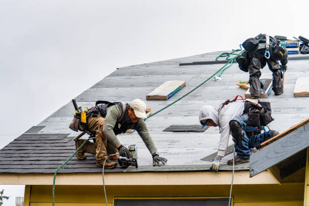 Professional Storm Damage Roof Repair technician working in Roland, IA